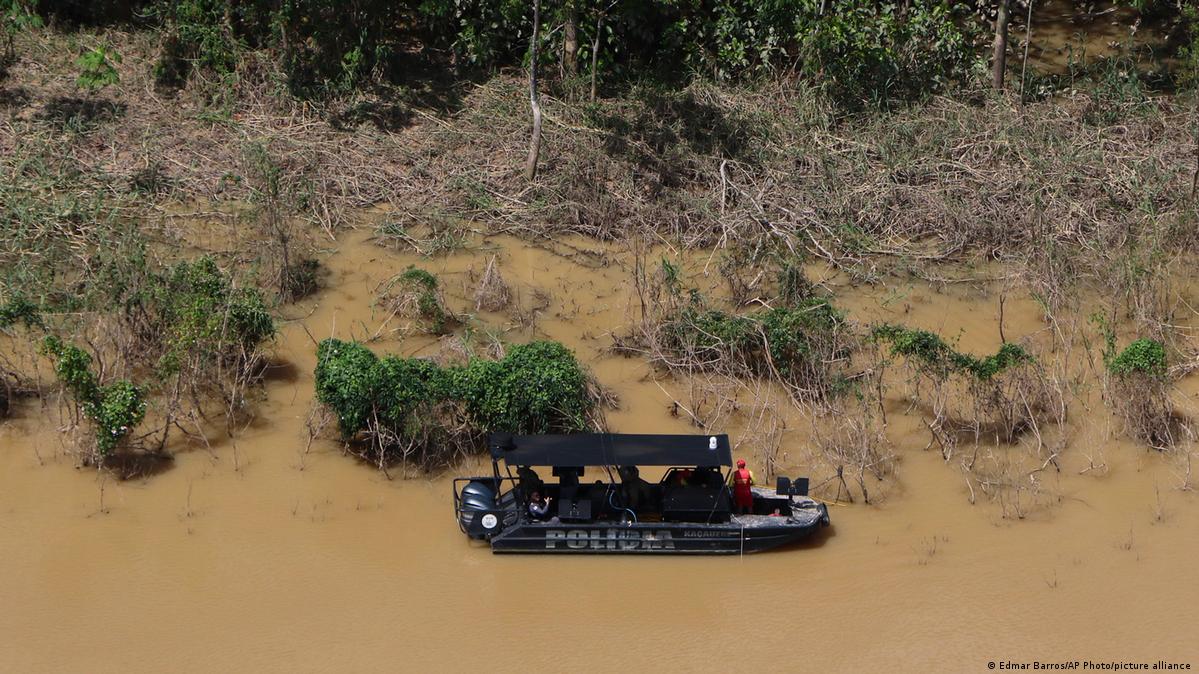 Illegal mining is on the rise in Brazil thanks to TikTok - Rest of