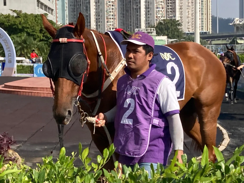 Macau jockey club corridas cavalos wiliam lai taiwan eleições