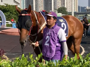 Macau jockey club corridas cavalos wiliam lai taiwan eleições 